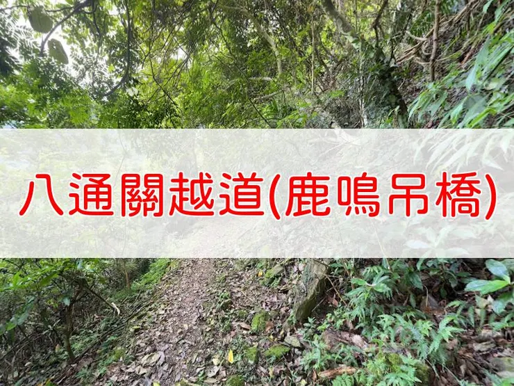 【花蓮】八通關越道:鹿鳴吊橋段 | 全長里程:單程2.7公里 | 難易度:低