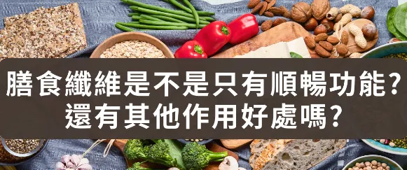 膳食纖維的好處(出自 : 奧格雷雅)