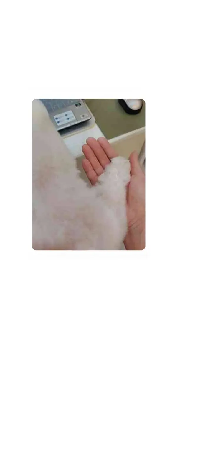 握住龍龍的手，是媽媽最愛的日常，還特地拍照留念，現在成為最美好的回憶(龍龍媽媽提供)