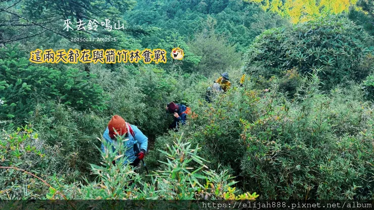 【閂山鈴鳴。兩日50公里百岳行】海拔3272公尺 鈴鳴山-