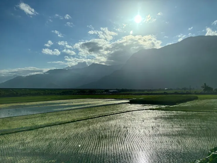 思考停下的時候，才有空間讓靈感照進來。