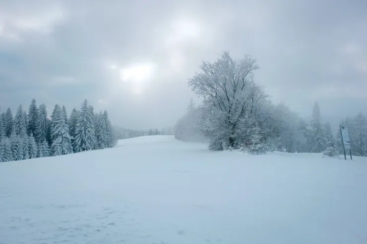 Wierchomla Mała shot by Emma@Wierchomla Mała, Poland . 12 / 2014.
