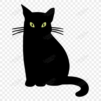 黑喵咪的聊天吧～