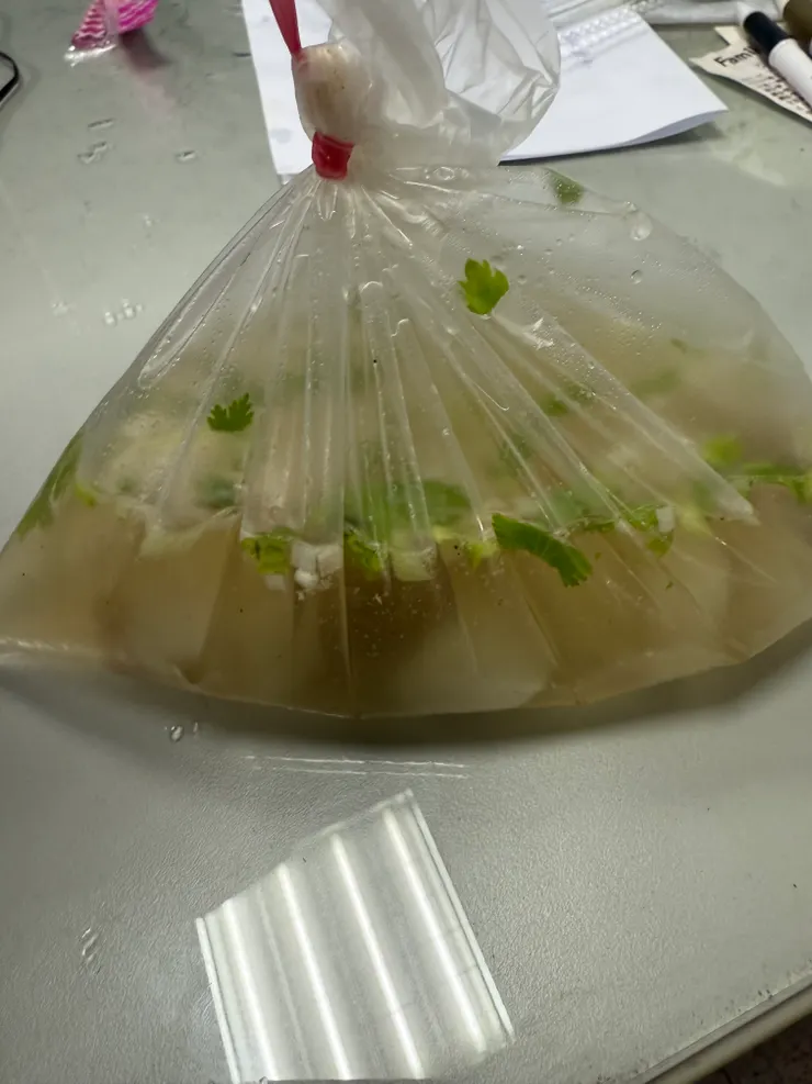 2025/10/21 老闆第一次送菜頭湯