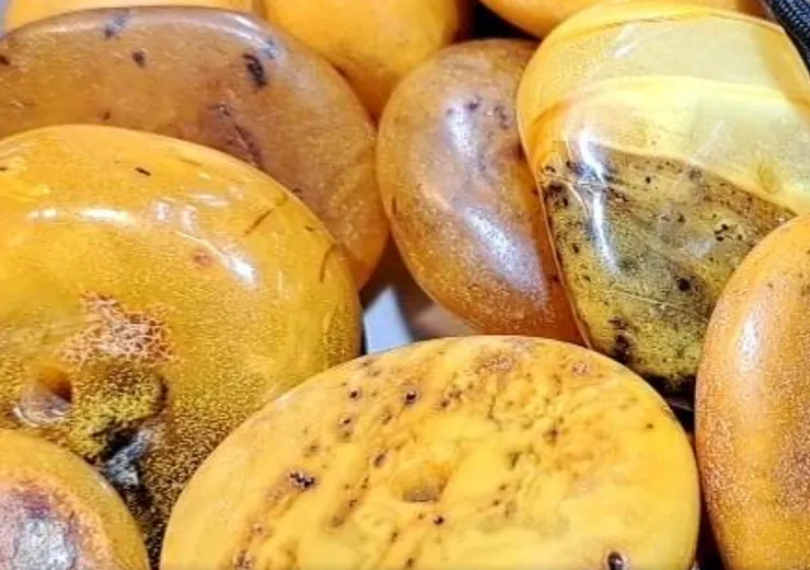 老蜜蠟餅子的包漿，那是被人手和時間反覆摩挲出來