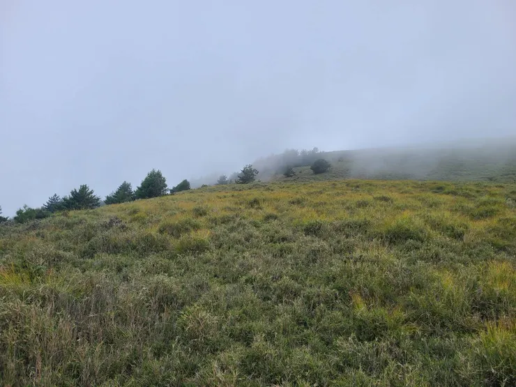 接回東稜,準備返回山頭