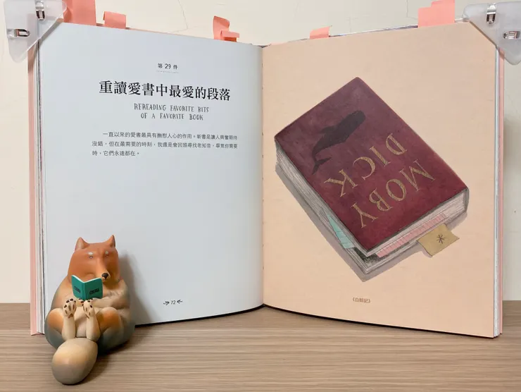 我不確定藏狐喜歡的段落?