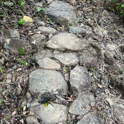 SunnyCheung的沙龍