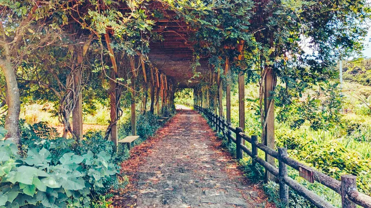 攝影 | 玄靈子                                                                         梵靈乾坤工作室提供