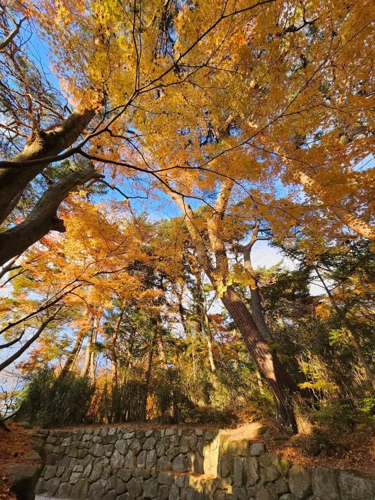 arrivalrich 安心理財