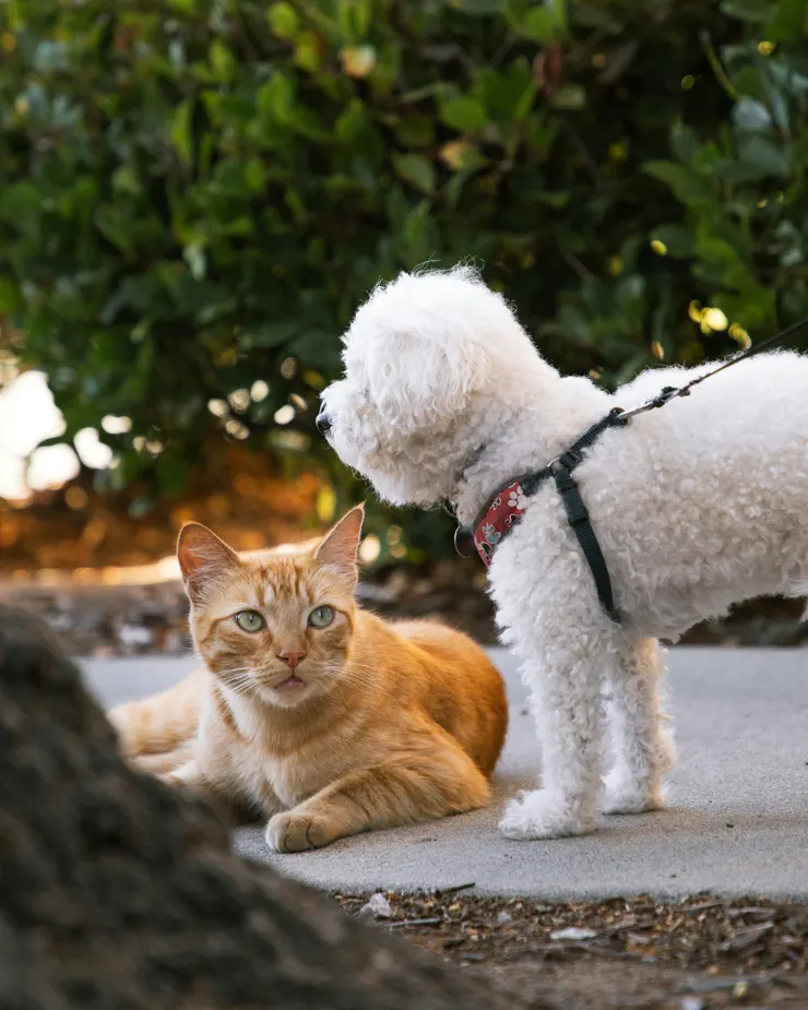 (Photo by noelle on Unsplash)