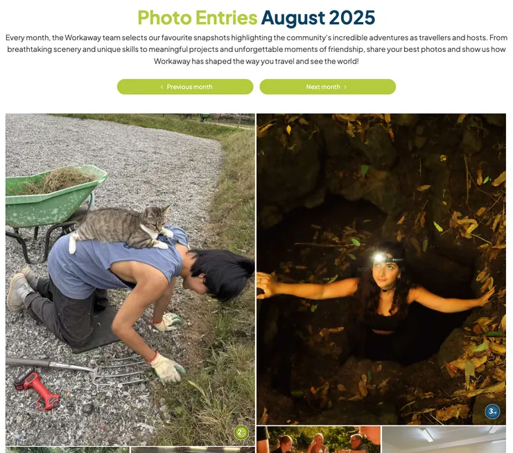 左邊那張是我們得第二名的照片~