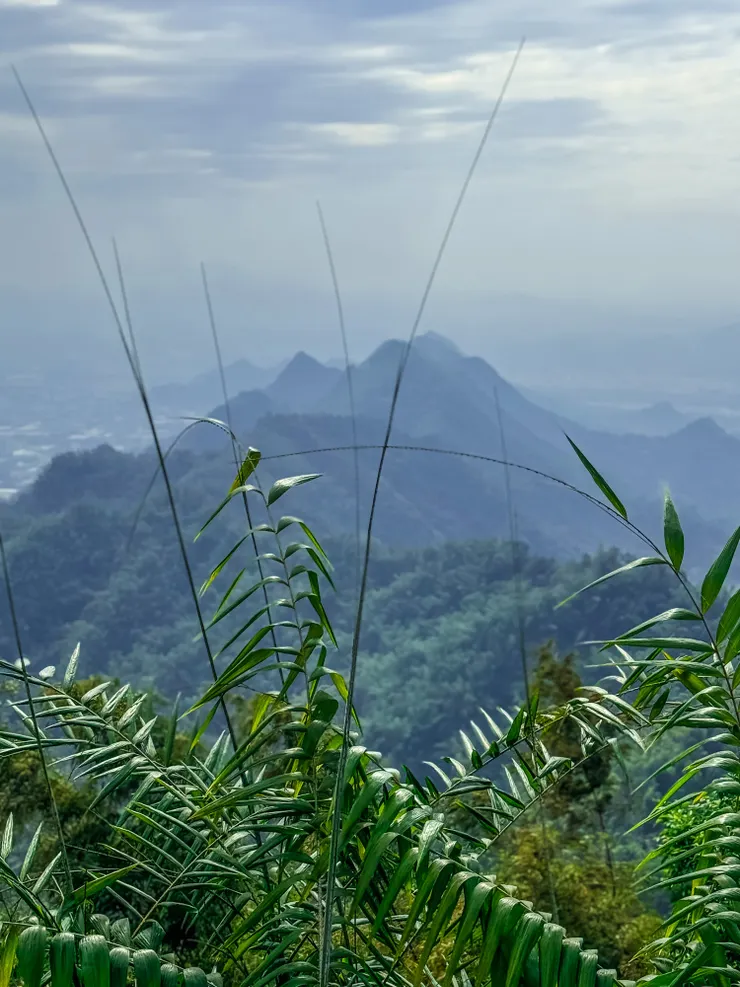 站在石頭上望向旗尾山的方向，真不敢相信我走這麼遠！！