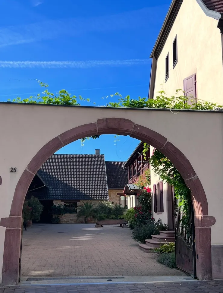 埃及桑，到處都是酒莊