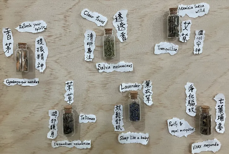 六種不同味道青香草