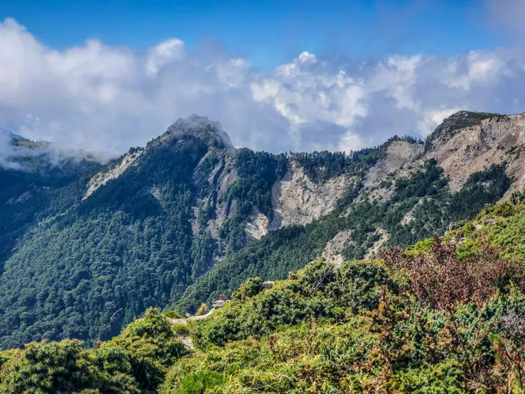 遠方的山頭是今年初爬過的溪頭山