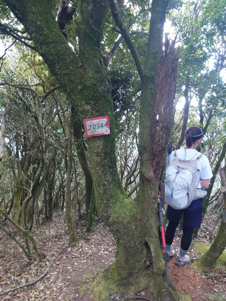 本日最高峰，開始抖下