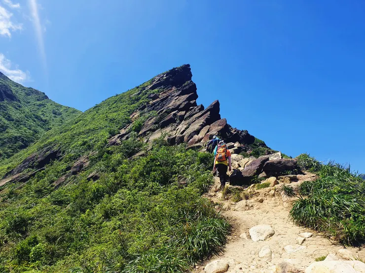 效山之王-劍龖稜