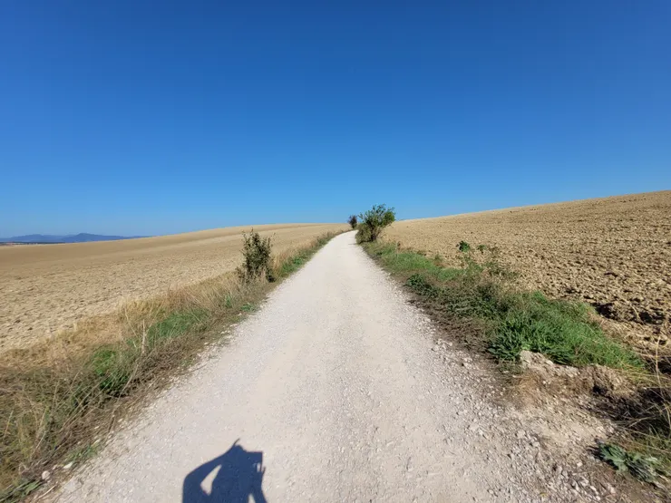 漫漫長路,你選擇怎麼走?