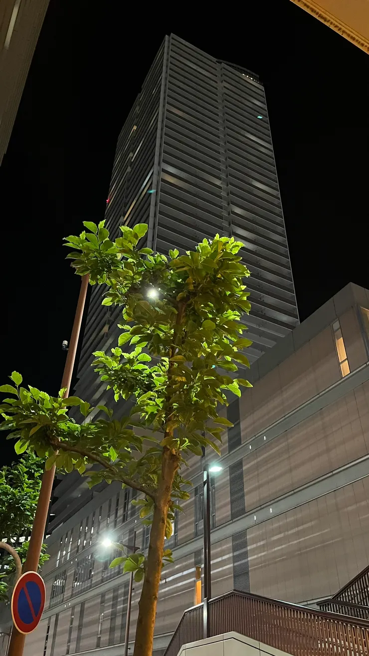 它是岐阜最顯眼的建築。