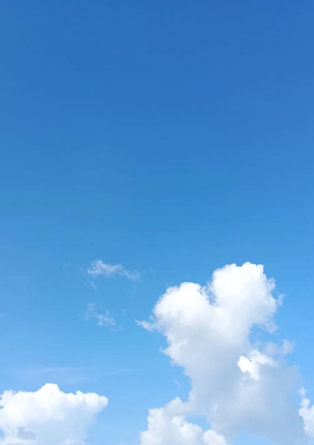 語洛夏的閱讀森林