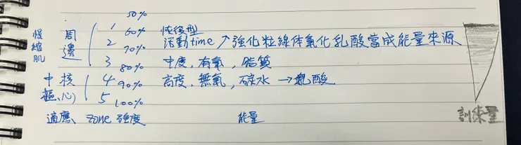 對於ZONE2、有氧、阻力訓練開始有學理上的認識