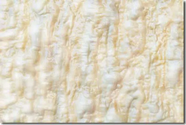 Gang-Gu Jade by H.H. Dorje Chang Buddha III