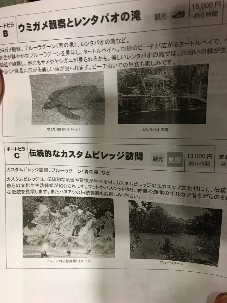 萬那杜的海龜行程