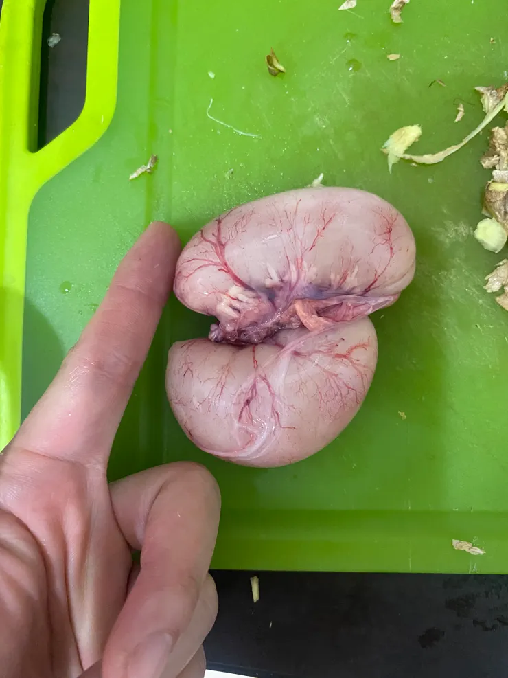 睪丸，肥美