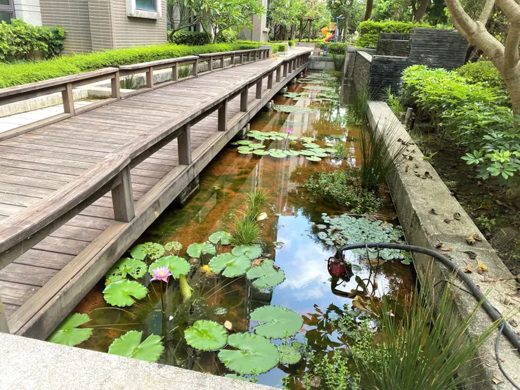 兼顧環境生態和景觀遊憩的生態池，讓人身心放鬆。圖／新北環保局提供