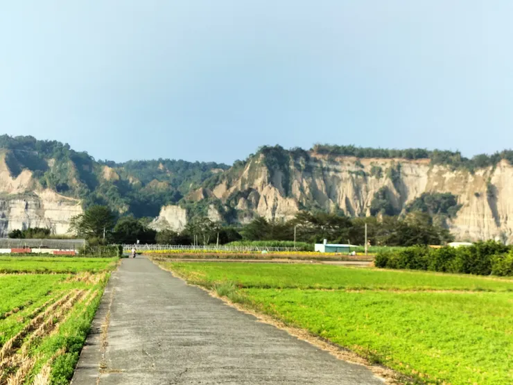 花海小黃山/Mingling攝