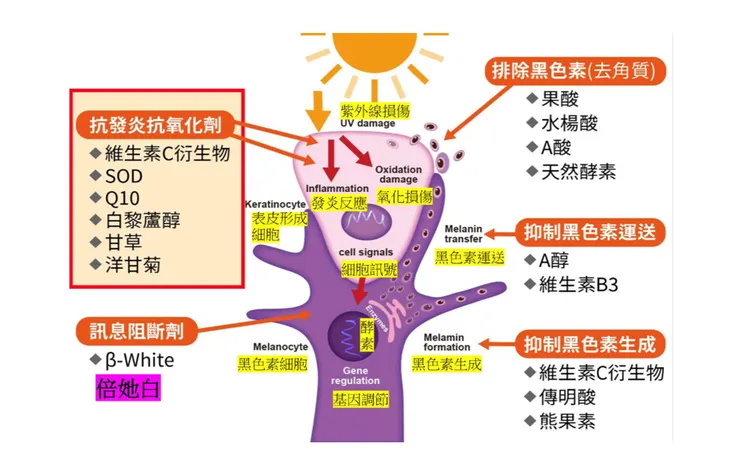 雷射術後擦美白