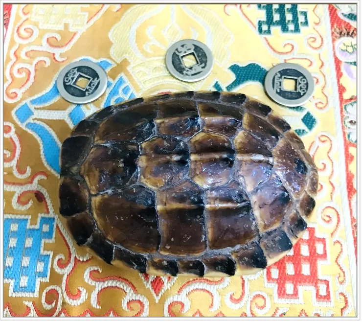 銅錢與龜殼