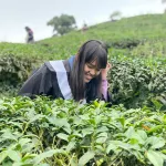 ✨亮亮✨的沙龍