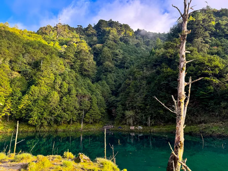 對面是小關山的登山口