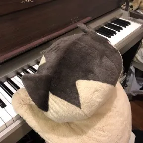 貓紙Catpaper的沙龍