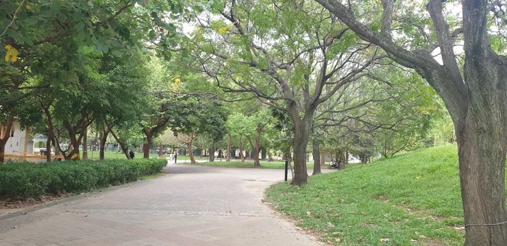 a corner of a park
