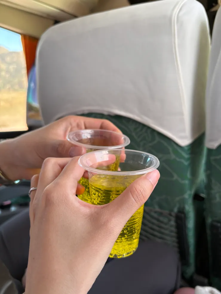回到車上，車掌小姐倒了飲料請大家喝，我們選了Inca Cola