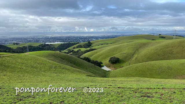 山上可以眺望Fremont