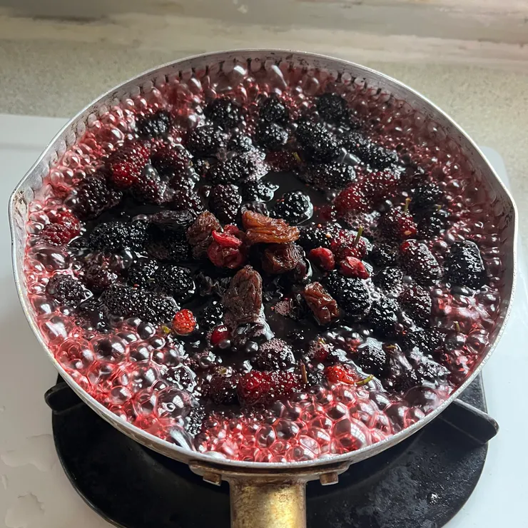 這時已經加入莓果乾了，應該有葡萄乾、蔓越莓乾這兩種吧