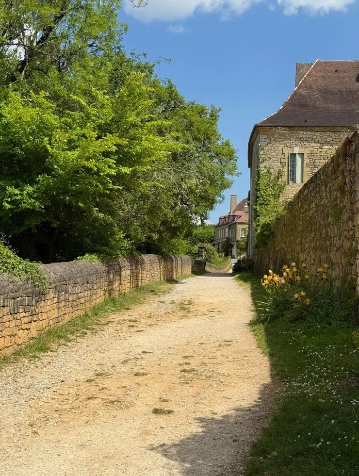 每走一步都忍不住回頭看了又看