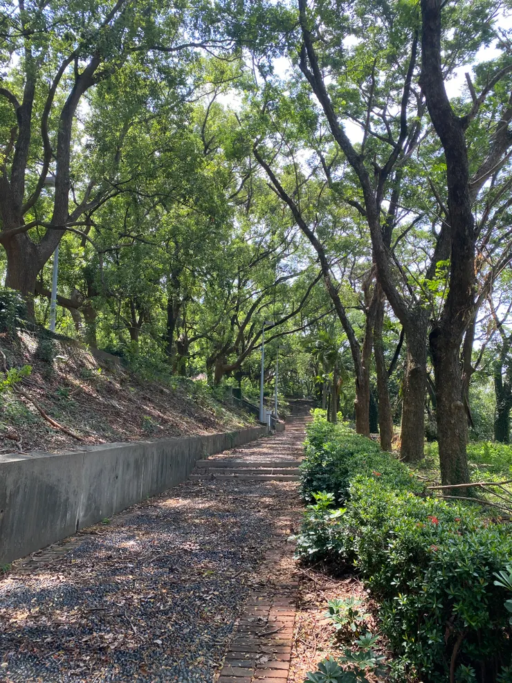 滿滿樹木的大學，聽說有上萬棵