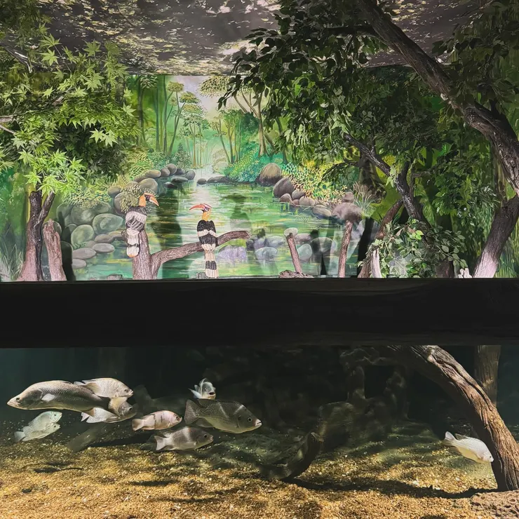 水族館有實體造景
