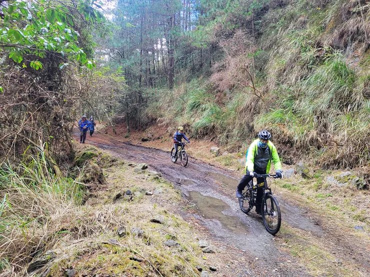 ▲林道平緩，部分路段有積水泥濘