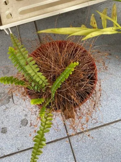 手機拍攝，2023/1/1