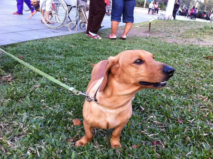 我年輕時英俊挺拔