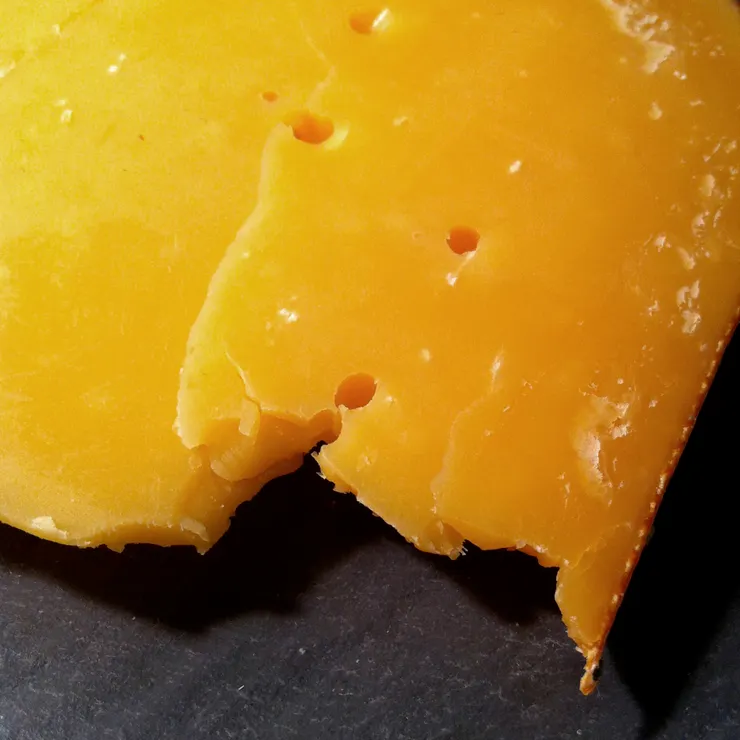 「荷蘭乳酪」-「冠軍康諾乳酪」