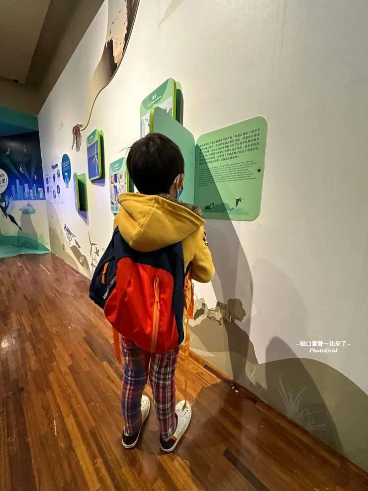 牆面上的展示項目可以讓孩子做進一步思考。