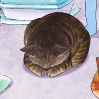 很難相處的狐狸的沙龍