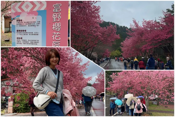 圖片來源：石頭哥